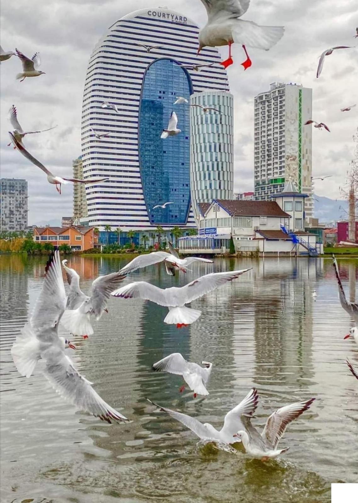орби сити *